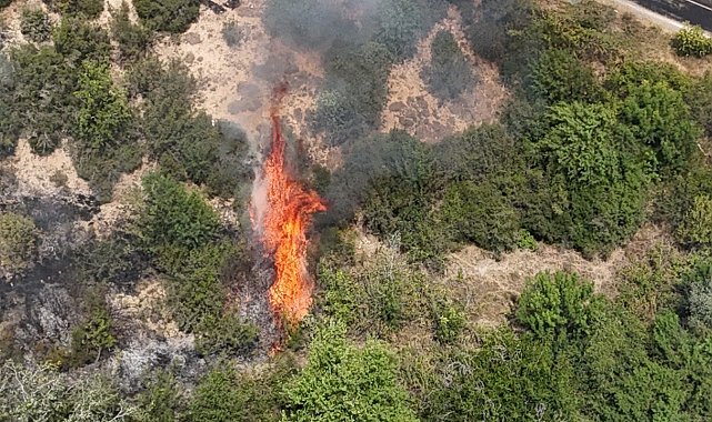 Yangın riski en yüksek haftaya giriliyor