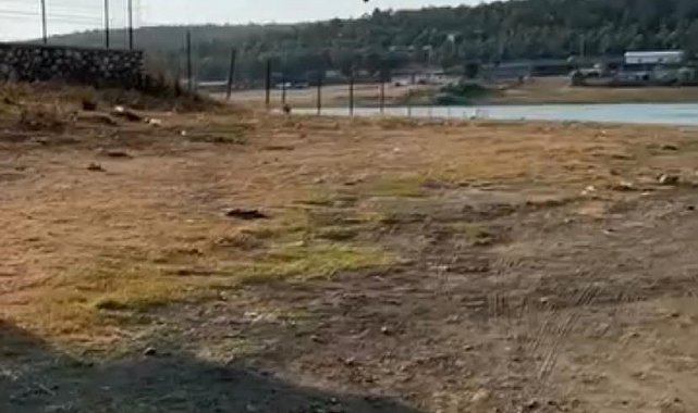 Yangına müdahale eden jandarma pilotundan büyük ustalık