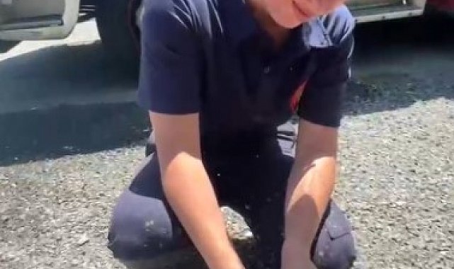 Yangında mahsur kalan kaplumbağaya itfaiyeden yardım eli