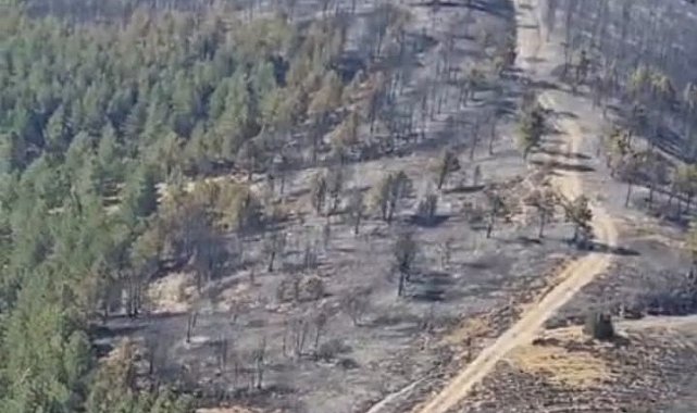 Yangında yaklaşık 5 hektarlık alan zarar gördü