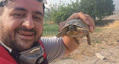 Yangından etkilenen hayvanlara elleriyle su verdiler