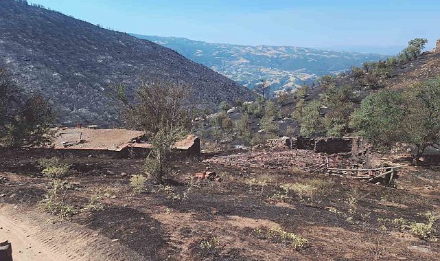 Yangından geriye küle dönen evler ve tarlalar kaldı