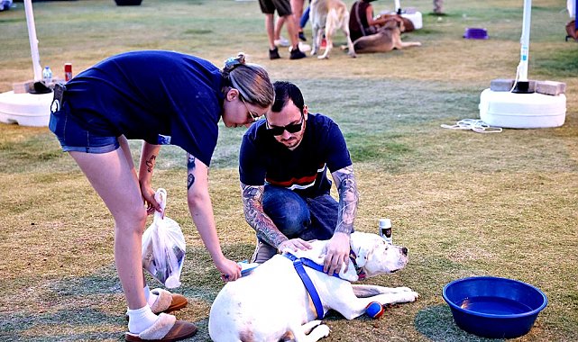 Yangından kurtulan patili dostlara yeni yuva