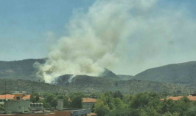 Yangınlar bu defa Selçuk'a sıçradı, alevlere karadan müdahale yapılıyor
