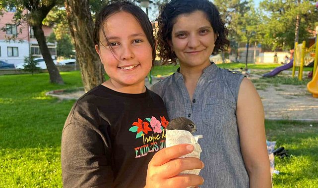 Yaralı Ebabil kuşu Tavşanlı'da şefkatli ellerde