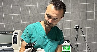 Yaralı saksağan kuşu tedavi altına alındı