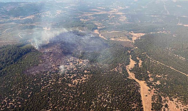 Yatağan yangını kontrol altında