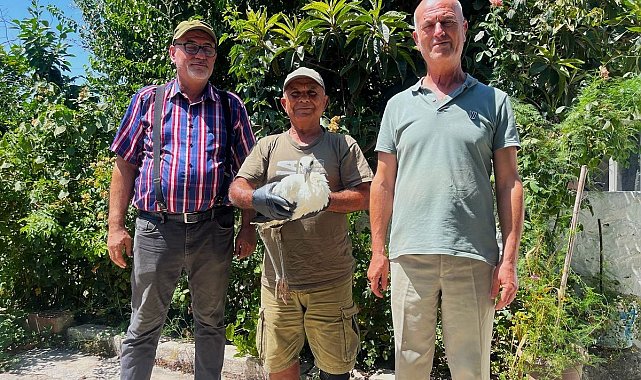 Yavru leyleği kurtarıp, deniz kaplumbağası yumurtalarını koruma altına aldılar