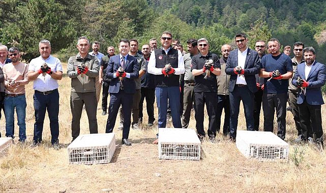 Yaylatepe'de 500 keklik doğaya salındı