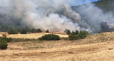 Yenişehir'de buğday tarlasında çıkan yangın ormana sıçradı