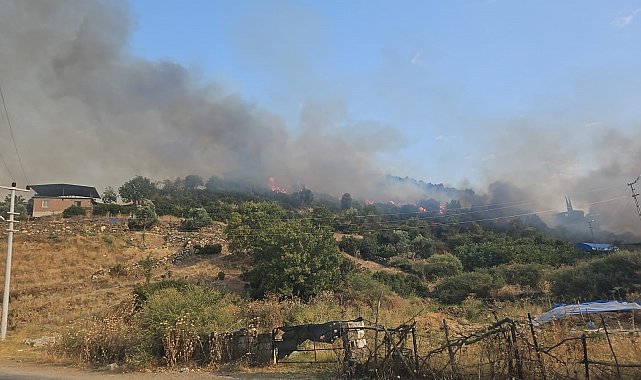 Yerleşim yerine yakın mesafede çıkan yangın büyümeden söndürüldü