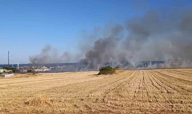 Yol kenarına atıdığı iddia edilen izmarit yangın çıkardı: Tekirdağ-İstanbul yolu dumanlarla kaplandı