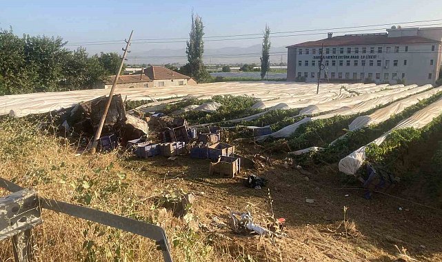 Yoldan çıkıp üzüm bağına uçan tırın şoförü hayatını kaybetti