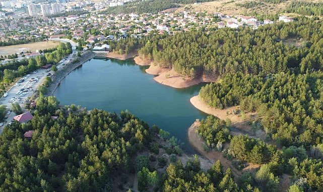 Yozgat Çamlık Milli Parkı'nda ateş yasağı etkili oldu: Vatandaşlar uygulamadan memnun