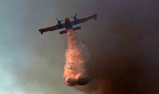 Yunanistan'ın Oropos bölgesinde orman yangını