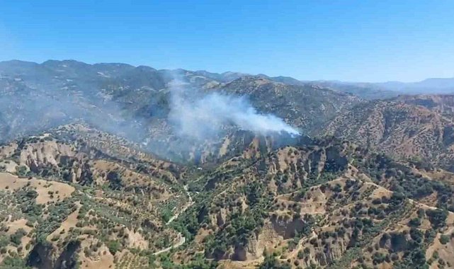 Zeytinlik alanda yangın çıktı, müdahale sürüyor