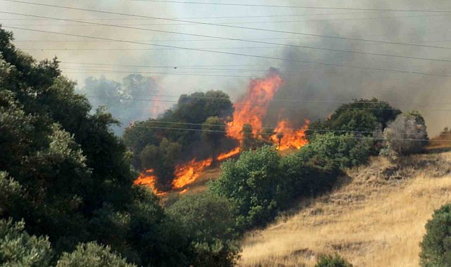 Zirai alanda başlayan yangın ormana sıçradı müdahale devam ediyor