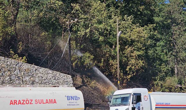 Zonguldak'ta çıkan örtü yangını kontrol altına alındı