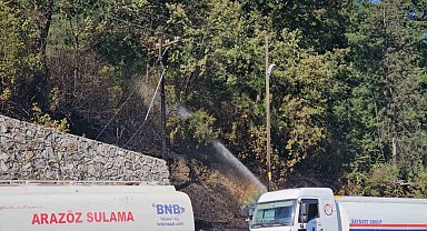 Zonguldak'ta çıkan örtü yangını kontrol altına alındı