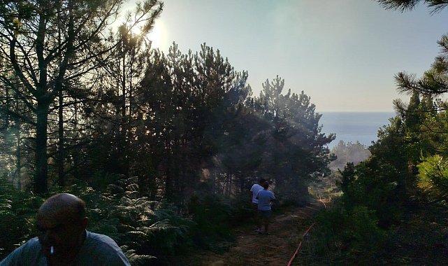 Zonguldak'ta çıkan yangında 7 dönümlük karaçam ormanı zarar gördü