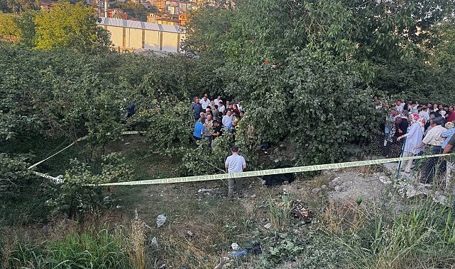 Zonguldak'ta kamyonet fındık bahçesine uçtu: Araçtan fırlayan sürücü öldü