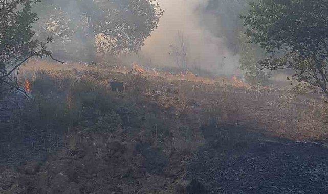 Zonguldak'ta ormanlık alanda çıkan yangına ekipler müdahale etti