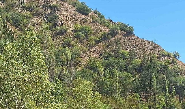 10 gündür kayıp olarak aranan yaşlı adam ölü bulundu