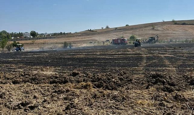 20 dönümlük alan anız yangınında kül oldu