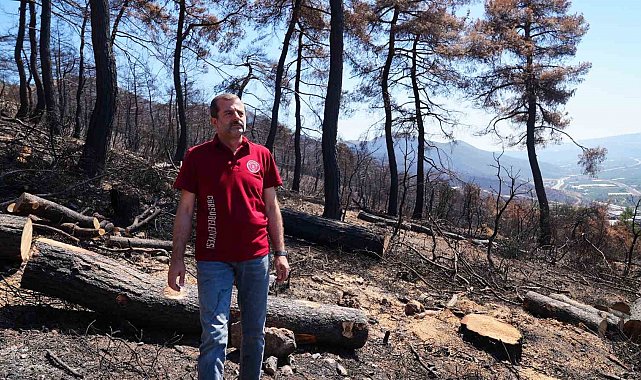 3 bin kilo tohum, yanan bölgelerde toprakla buluşacak