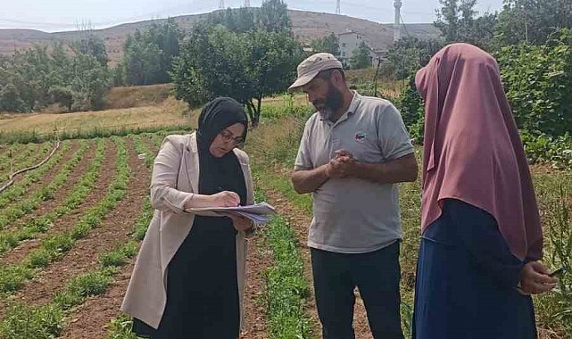 'Bayburt Tarhunu' coğrafi işaret tescilinin ardından ilk kez denetlendi
