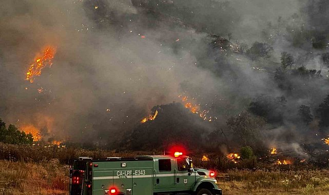 ABD'de orman yangını: 72 bin dönümden fazla alan kül oldu