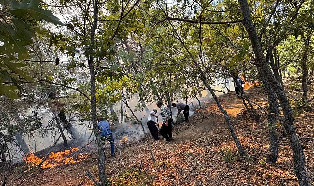 Adana Feke'de orman yangını ekipler havadan ve karadan müdahale ediyor