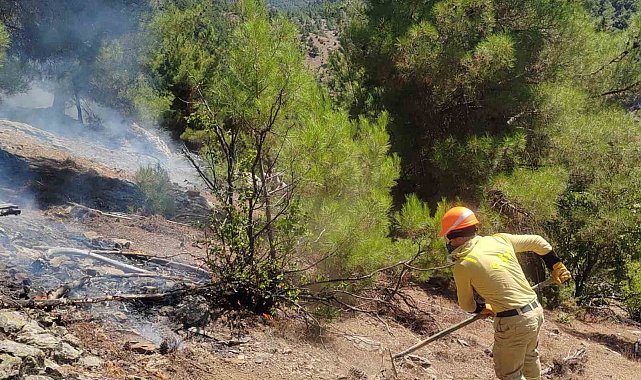 Adana Feke'deki orman yangını kontrol altına alındı