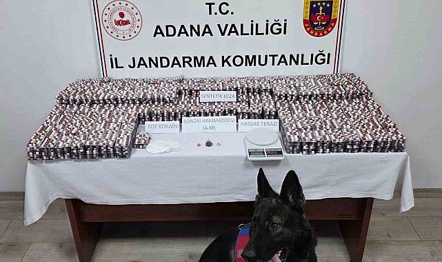 Adana'da 19 bin 167 adet uyuşturucu hap ele geçirildi: 1 tutuklama