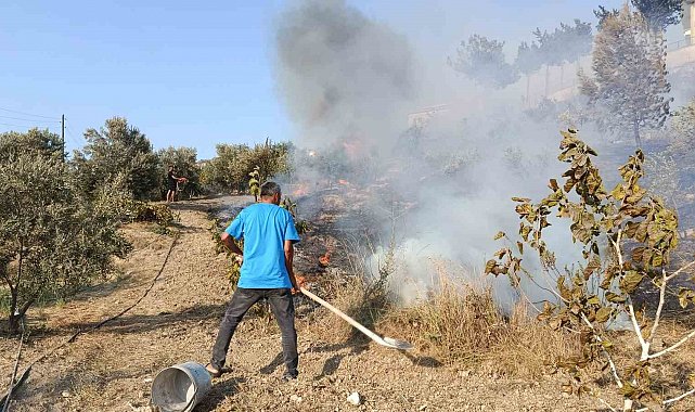 Adana'da ağaçlık alanda çıkan yangın kontrol altına alındı