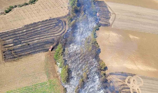 Adana'da çıkan orman yangını kontrol altına alındı
