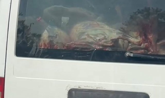 Adana'da etler hijyen kurallarına aykırı taşındı