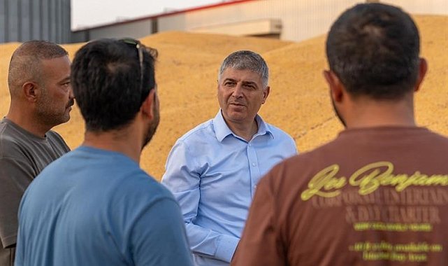 Adana'da mısırda 1 milyon 135 bin ton rekolte bekleniyor