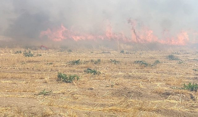 Adilcevaz'da arpa tarlasında yangın