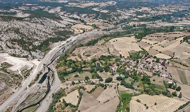Ağaçlara adanmış ömür: 32 senede binlerce fidan dikti