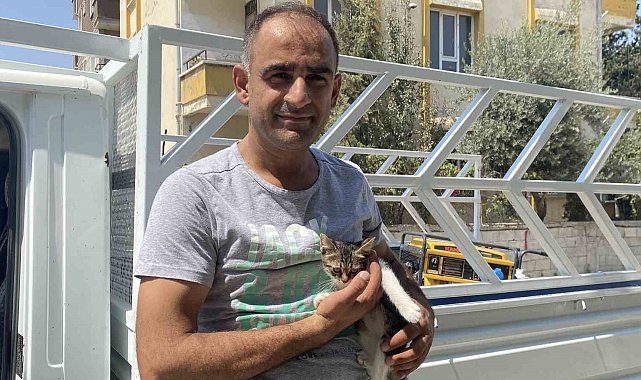Ağaçta mahsur kalan yavru kedi vatandaşın dikkatiyle kurtarıldı