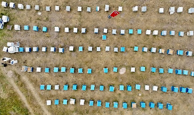 Ağrı'da kadınlar bal üretimine yöneliyor