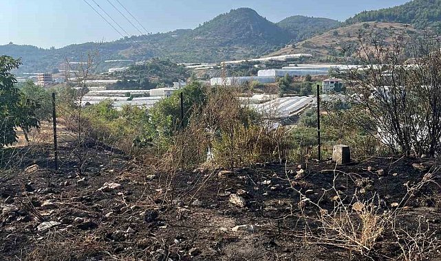 Alanya'da otluk alanda çıkan yangın büyümeden söndürüldü