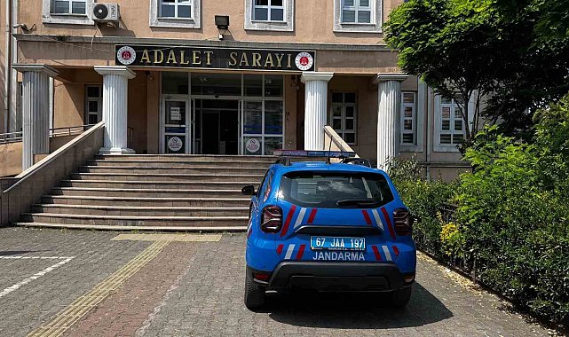 Alaplı'da fındık bahçesinde 16 kök hint keneviri ele geçirildi