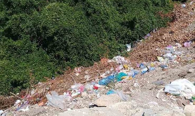 Alaplı'da yol kenarına bırakılan çöpler çevre kirliliğine yol açıyor