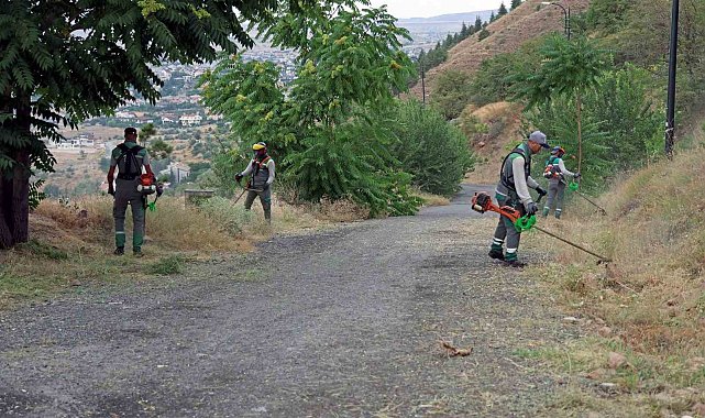 Ali Dağı'nda yangına karşı üst düzey önlem