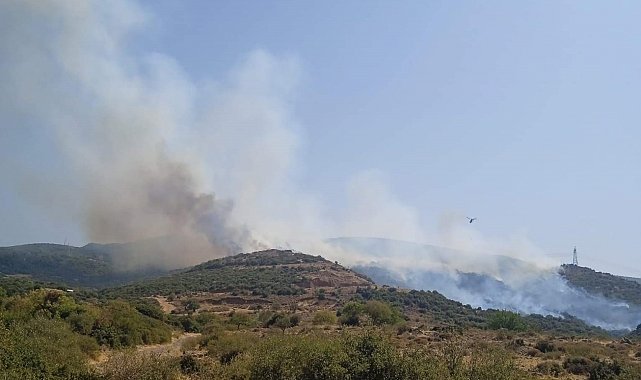Aliağa'da makilik alanda yangın