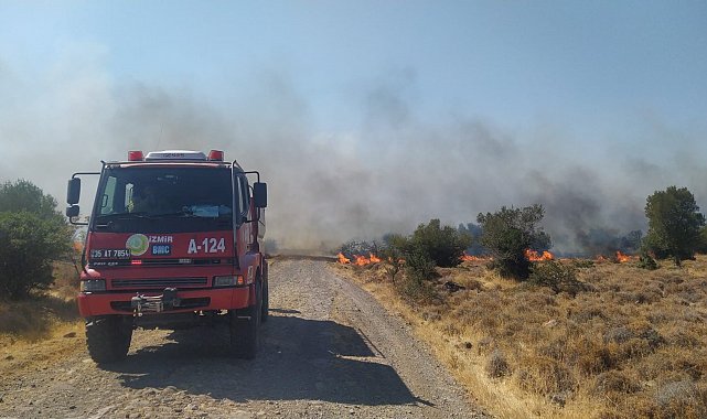 Aliağa'da otluk ve makilik alanda korkutan yangın