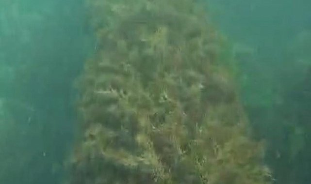 Amasra Belediyesi'ne 668 bin TL para cezası kesildi