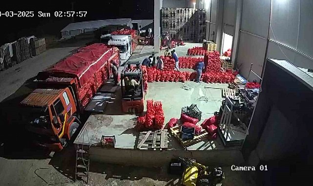 Amasya soğanı Avrupa'ya satılıyor